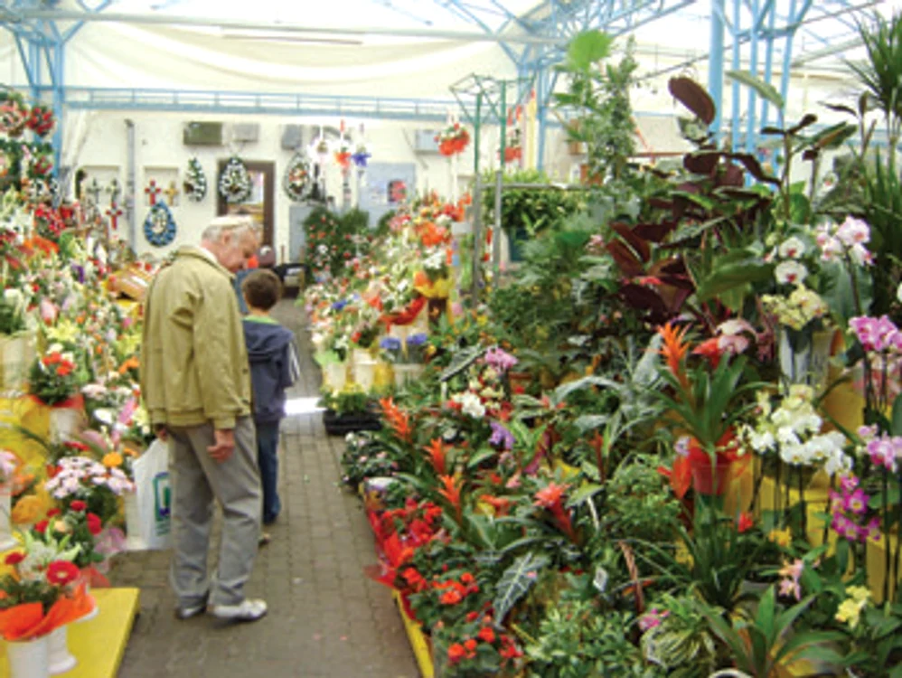 Arad: Florarii fac planuri mari pentru 14 septembrie