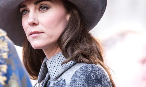 shutterstock 2690121667 jpg