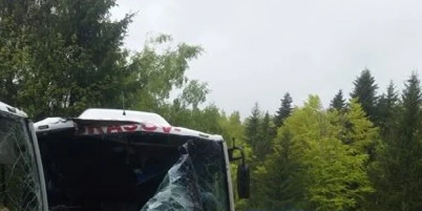 accident 