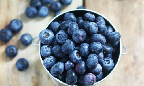 1 70362 original jpg jpeg