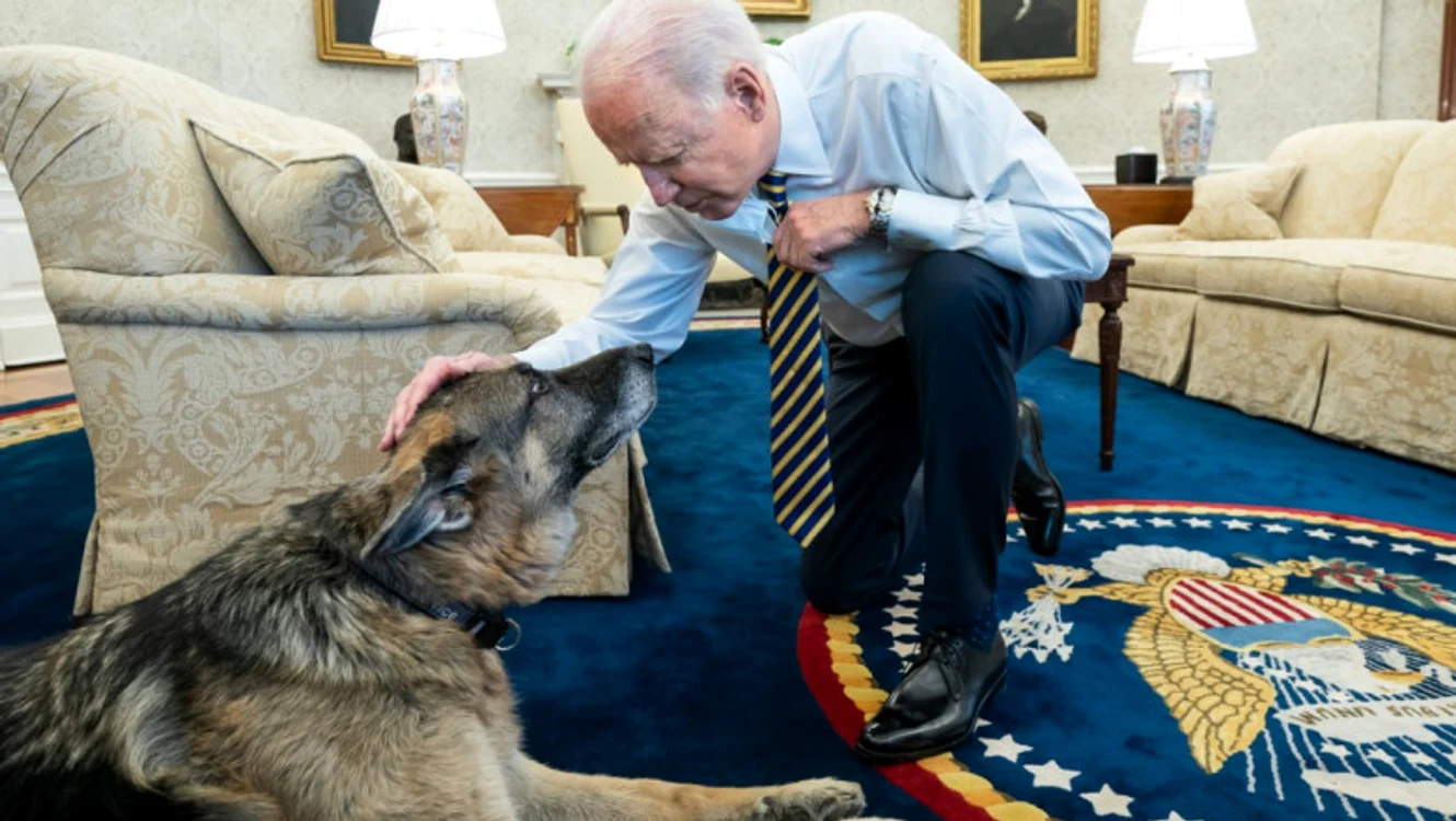 
    Joe Biden a anunțat moartea lui Champ, câinele său, un ciobănesc german în vârstă de 13 ani Sursă foto: Profimedia   