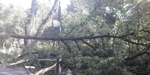 Catedrala Mitropolitană din Timişoara şi Sinagoga din Iosefin au fost afectate de furtună