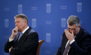 Evenimentul „Bune practici pentru mediu avansate de societatea civilă“, organizat cu ocazia Zilei Mondiale a ONG-urilor, la Palatul Cotroceni din București. FOTO Inquam Photos / George Călin