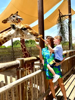 Ilinca Vandici și Zian