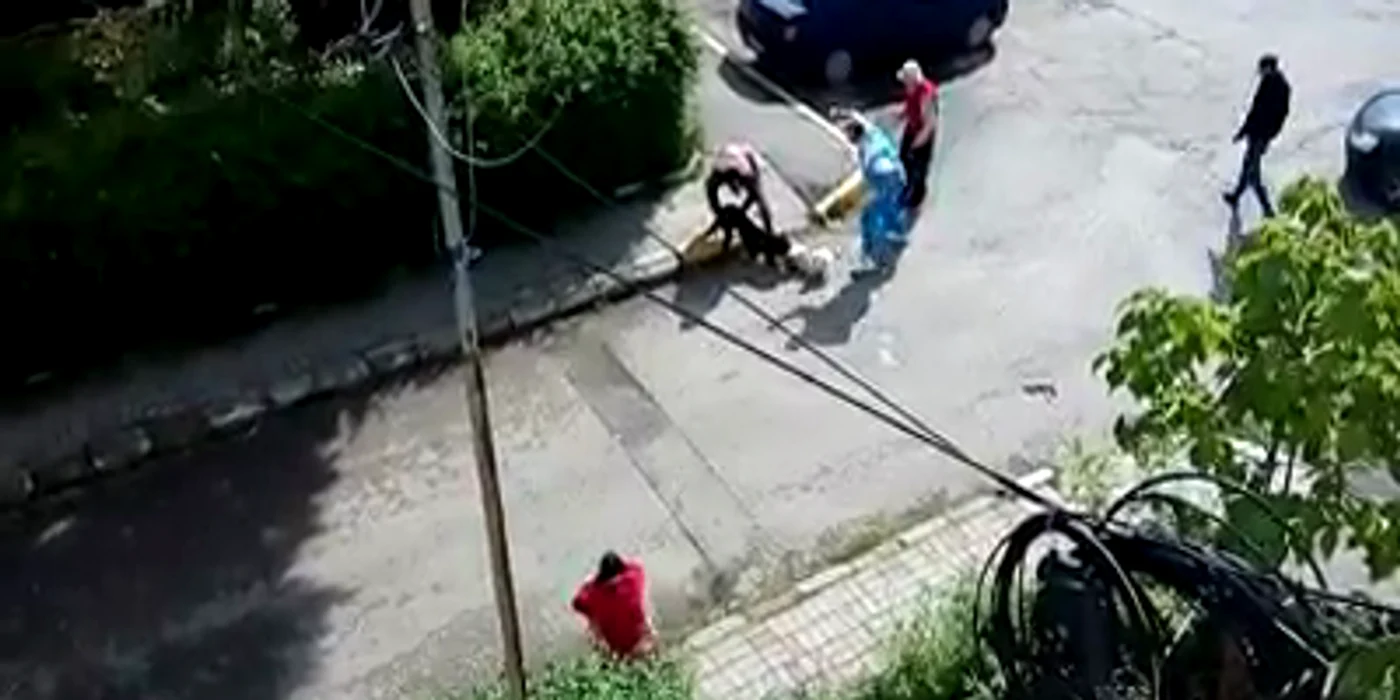În municipiul Târgovişte există un regulament pentru gestionarea câinilor cu stăpân, dar este ignorat de majoritatea proprietarilor de animale agresive