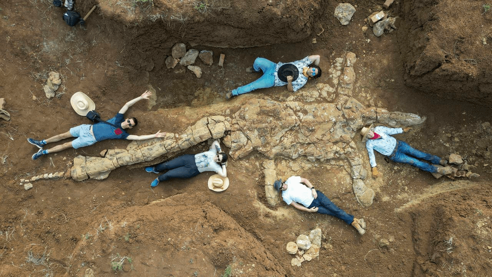 Descoperirea unui schelet de plesiozaur vechi de 100 de milioane de ani „ar putea deține cheia" cercetării preistorice