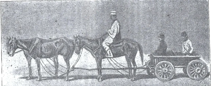 O căruță de poștă brăileană / foto: ilustrație „De la Praga la Focșani”, Emanuel Solomon