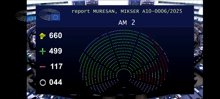 Sprijinul a fost votat cu majoritatea europarlamentarilor. FOTO: Facebook