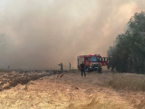 Incendiu vegetaţie Constanţa. Foto ISU