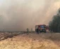 Incendiu vegetaţie Constanţa. Foto ISU 