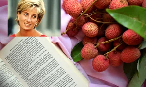 Lady Diana   litchie jpg