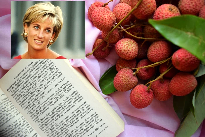 Lady Diana litchie jpg