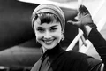 3 audrey hepburn profimedia 0017275703 jpg jpeg