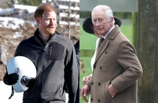 Prințul Harry, Regele Charles foto GettyImages, Profimedia jpg