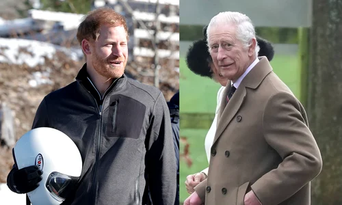 Prințul Harry, Regele Charles  foto   GettyImages, Profimedia jpg