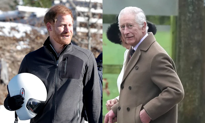 Prințul Harry, Regele Charles  foto   GettyImages, Profimedia jpg