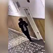 ATAC ELEV gif