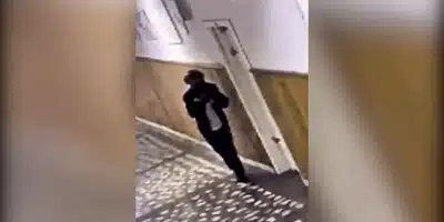 ATAC ELEV gif