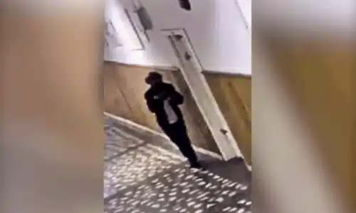 ATAC ELEV gif