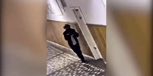 ATAC ELEV gif