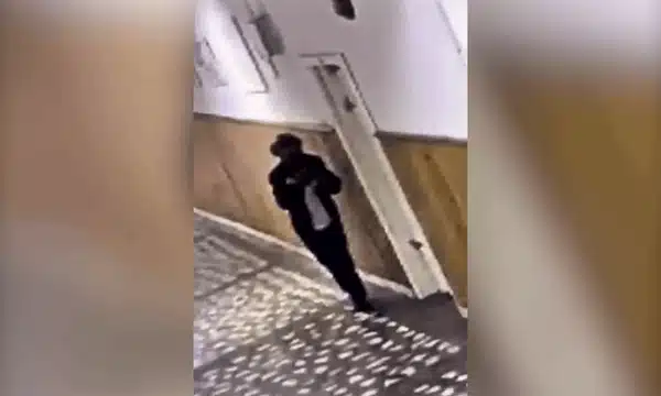 ATAC ELEV gif