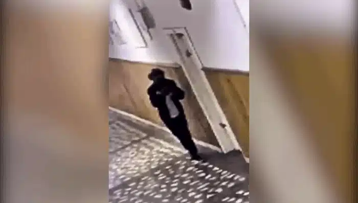 ATAC ELEV gif