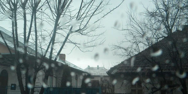Ploile şi vântul vor predomina azi 