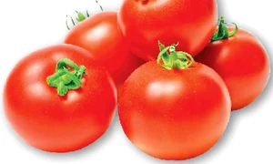 CLIIMA20120913 0062 1 jpeg