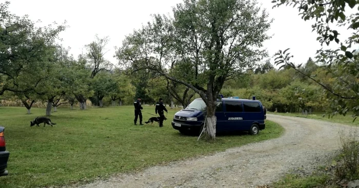 crima bistrita bargaului 6