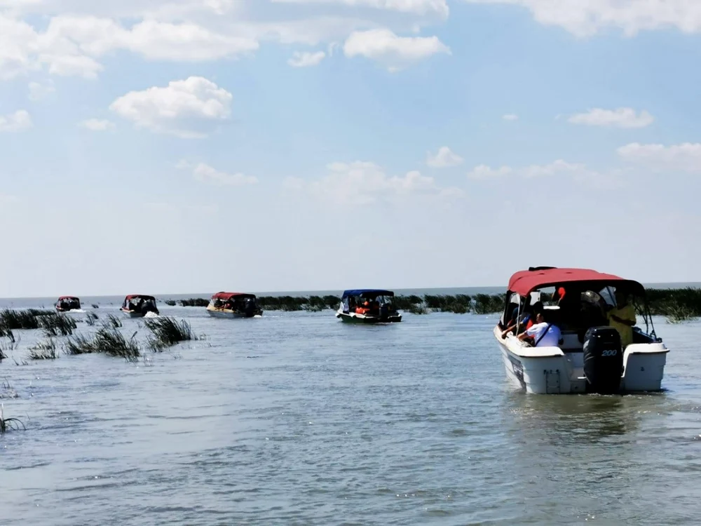 Delta Dunării - arhiva foto