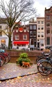 amsterdam pisica shutterstock jpg