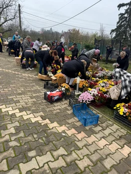 Florăria din Satu Mare / Foto: Facebook