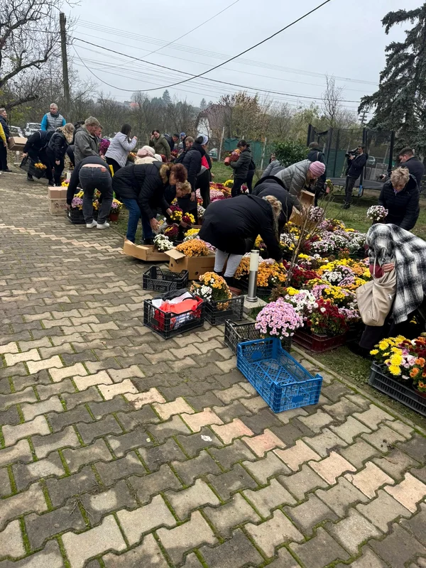 Florăria din Satu Mare / Foto: Facebook