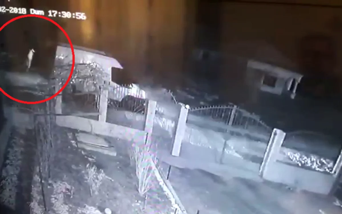 Totul s-a petrecut pe raza comunei Hulubeşti, din Dâmboviţa, în urmă cu două seri