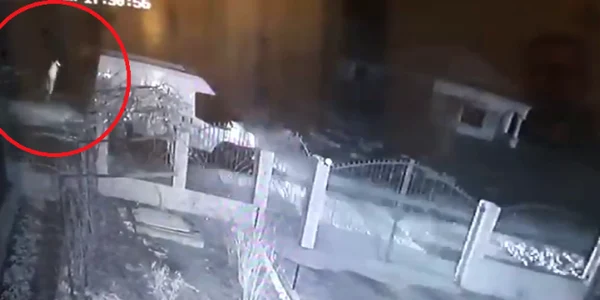 accident huubesti