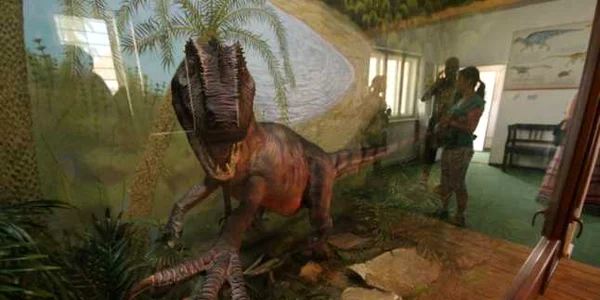 Casa dinozaurilor pitici