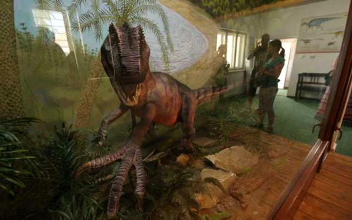 Dinozaurii au ajuns acum să fie doar atracţii pentru muzee. FOTO Adevărul