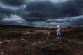 Schimbări climatice - dezastru climatic - FOTO Shutterstock 