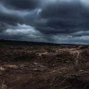 Schimbări climatice - dezastru climatic - FOTO Shutterstock 