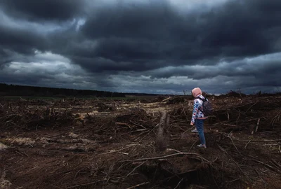 Schimbări climatice - dezastru climatic - FOTO Shutterstock 