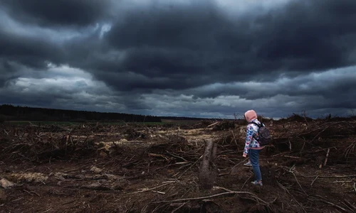 Schimbări climatice - dezastru climatic - FOTO Shutterstock 