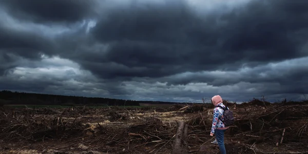 Schimbări climatice - dezastru climatic - FOTO Shutterstock 