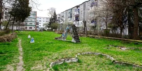 gradina urbana