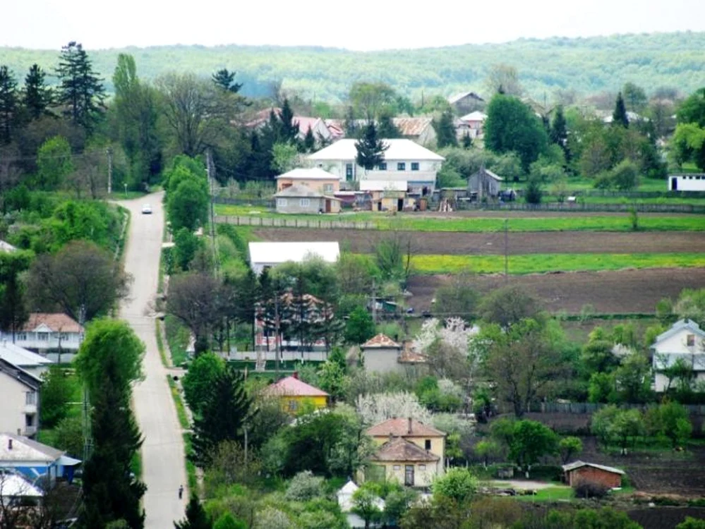 Satul Gorovei face parte din comuna botoşăneană Văculeşti FOTO Văculeşti.ro