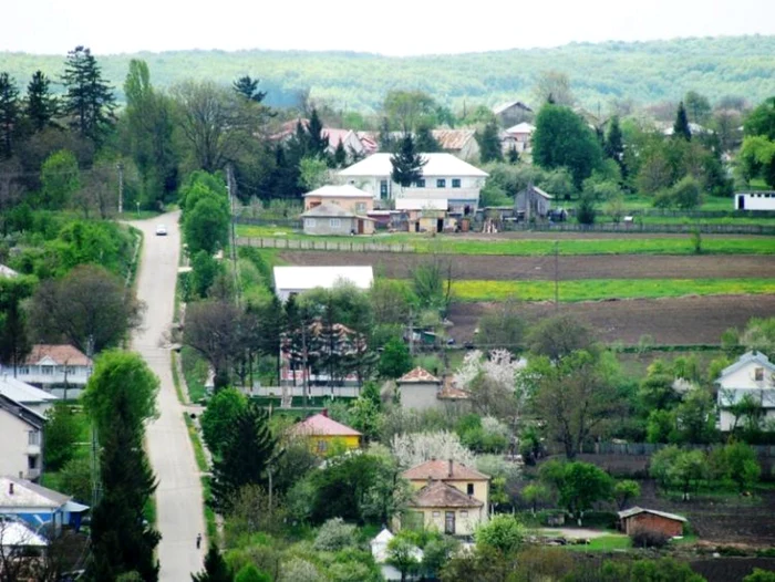 Satul Gorovei face parte din comuna botoşăneană Văculeşti FOTO Văculeşti.ro