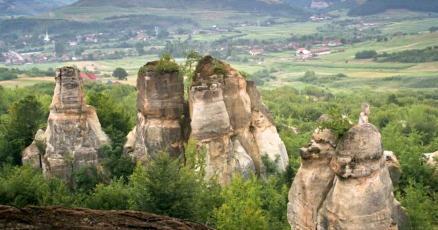 gradina zmeilor