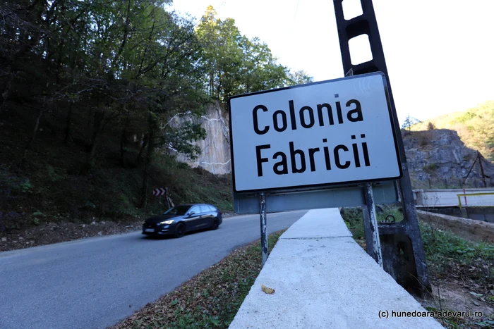 Colonia fabricii. Foto: Daniel Guță ADEVĂRUL