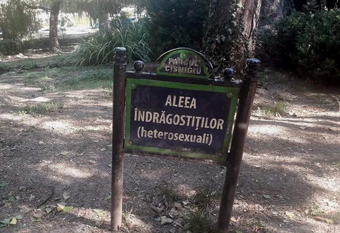 
    În ce parc se află această alee?    