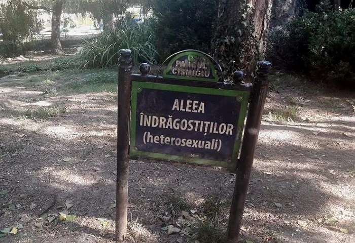 
    În ce parc se află această alee?    