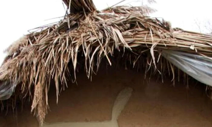 O cetate getică va fi construită la Drăgănești cu materialele și metodele din antichitate jpeg